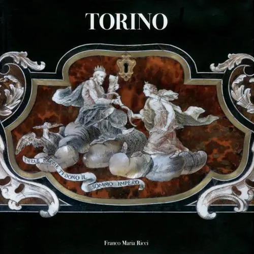 Professionale Torino. Ediz. a colori