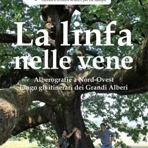 Affare La linfa nelle vene. Alberografie a Nord-Ovest lungo gli itinerari dei grandi alberi