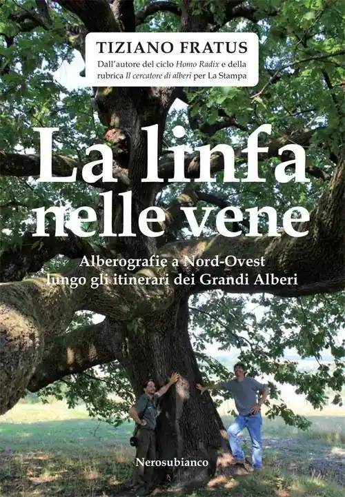 Affare La linfa nelle vene. Alberografie a Nord-Ovest lungo gli itinerari dei grandi alberi