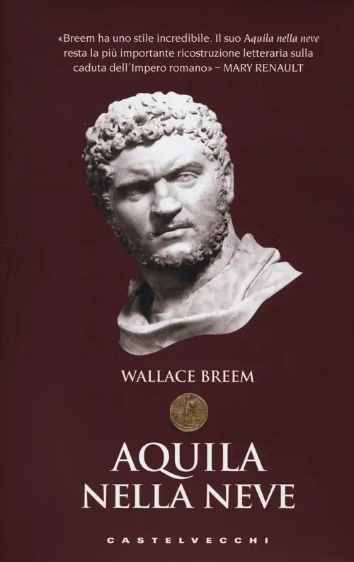 Aquila nella neve Reso Gratuito