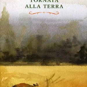 Tornata alla terra Economico