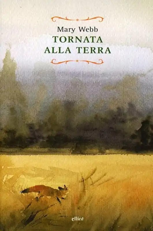 Tornata alla terra Economico
