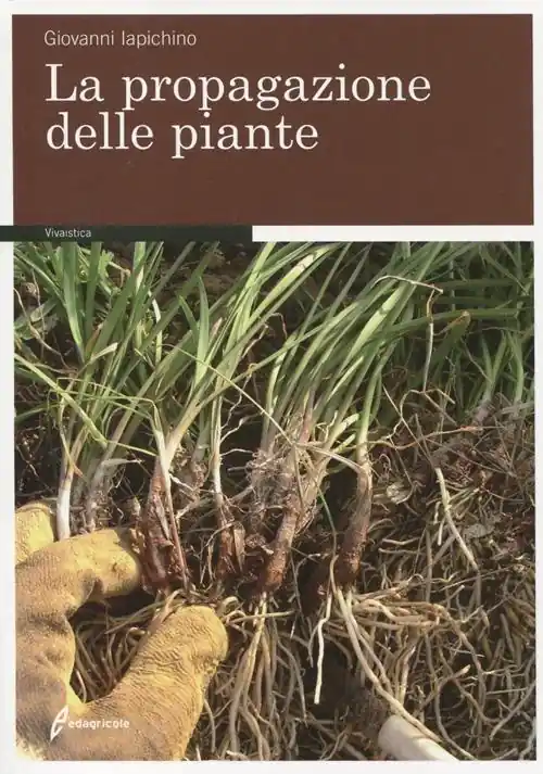 Ultima Occasione La propagazione delle piante