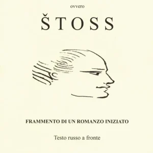 L‘incanto di un pittore ovvero Stoss. Ediz. italiana e russa Offerta
