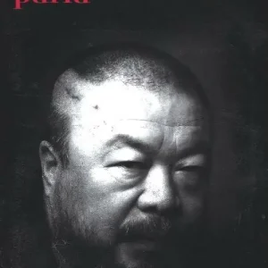 Ai Weiwei parla Professionale