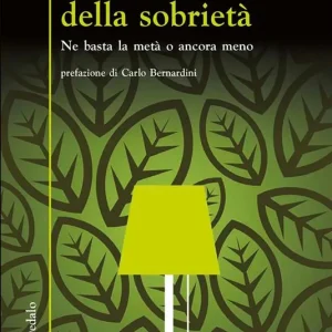 Spedito Oggi La fisica della sobrietà. Ne basta la metà o ancora meno