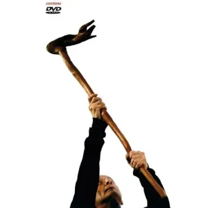 Danzare oltre. Scritti per la danza. Nuova ediz. Con DVD Affare