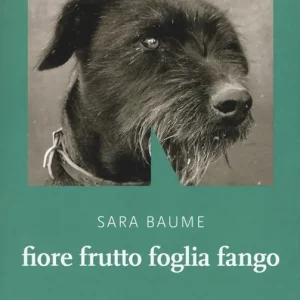 Fiore frutto foglia fango Occasione