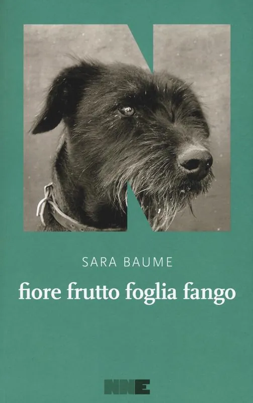 Fiore frutto foglia fango Occasione
