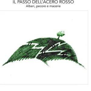 Il passo dell‘acero rosso. Alberi, pecore e macerie Novità