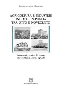 Agricoltura e industrie indotte in Puglia tra Ottocento e Novecento Acquista Ora