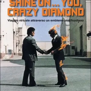 Shine on... you, crazy diamond. Viaggio virtuale attraverso un emblema pinkfloydiano Spedizione Espresso