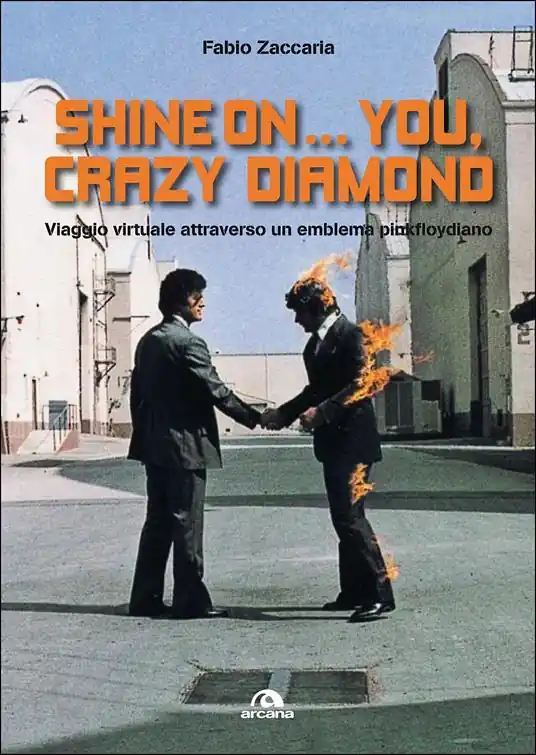 Shine on... you, crazy diamond. Viaggio virtuale attraverso un emblema pinkfloydiano Spedizione Espresso