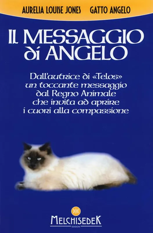 Compra Online Il messaggio di Angelo