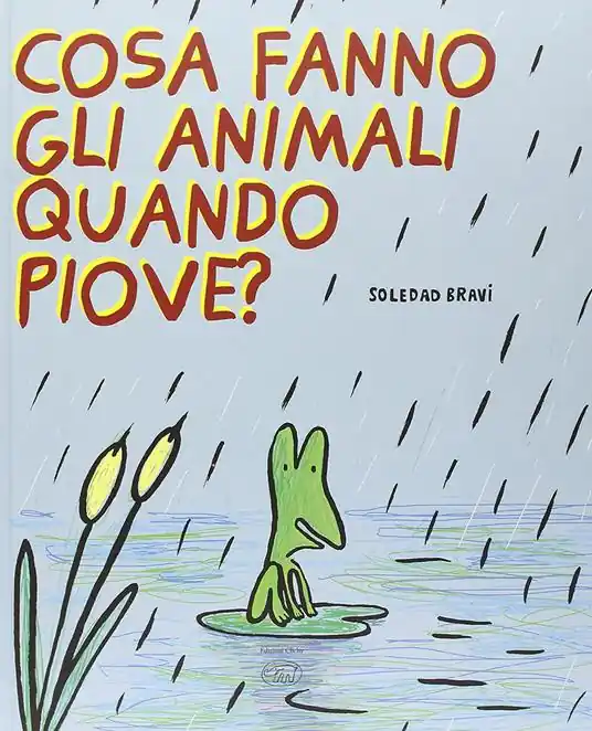 Popolare Cosa fanno gli animali quando piove? Ediz. illustrata
