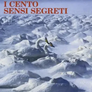 I cento sensi segreti Offerta Limitata