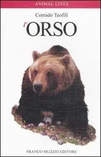 L‘orso Compra Adesso