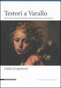 Professionale Testori a Varallo. Sacro Monte, Santa Maria delle Grazie, Pinacoteca a Roccapietra