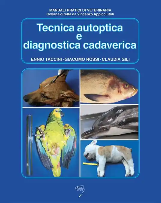 Tecnica autoptica e diagnostica cadaverica Affare