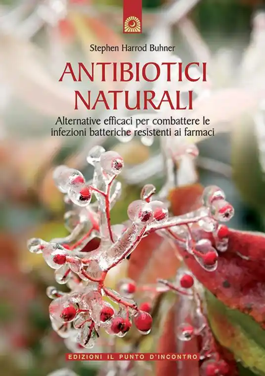 Antibiotici naturali. Alternative efficaci per combattere le infezioni batteriche resistenti ai farmaci Nuovo Arrivo