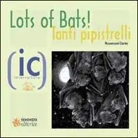 Tanti pipistrelli!-Lots of bats! Promo Stagionale