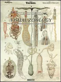 Visual zoology. The Pavia collection of Leuckart‘s zoological wall charts (1877). Con CD-ROM Occasione