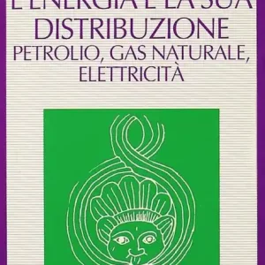Più Venduto L‘energia e la sua distribuzione petrolio, gas naturale, elettricità