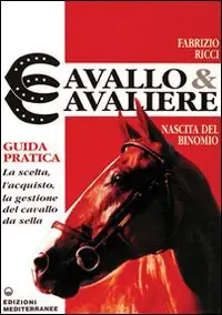 Cavallo e cavaliere Compra Adesso
