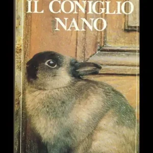Miglior Prezzo Il coniglio nano