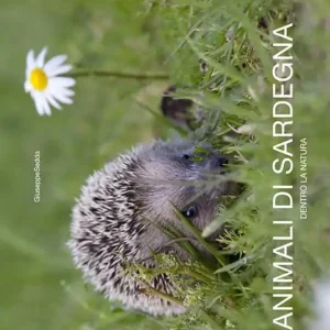 Animali di Sardegna. Dentro la natura. Ediz. italiana e inglese Nuova Collezione