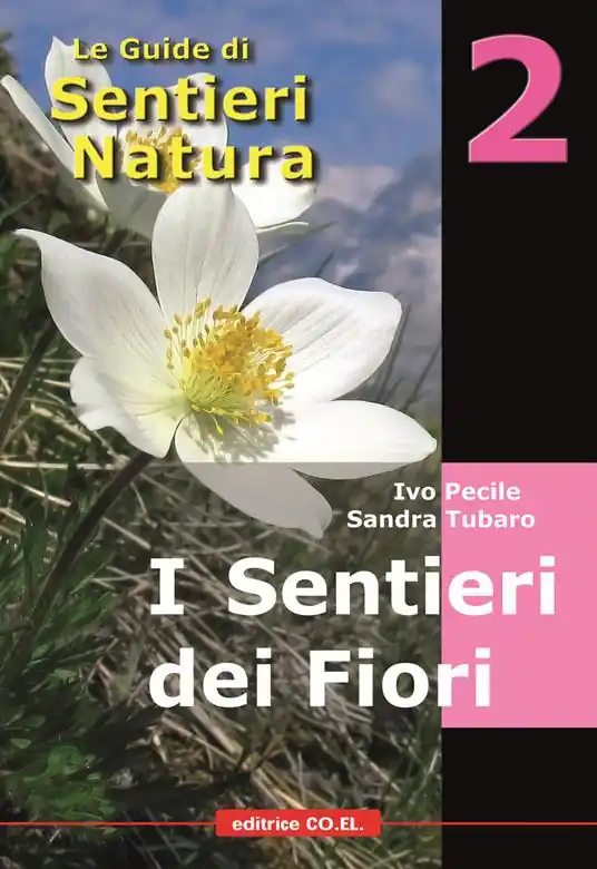 I sentieri dei fiori. 40 itinerari escursionistici alla scoperta della flora alpina della montagna friulana Subito Disponibile