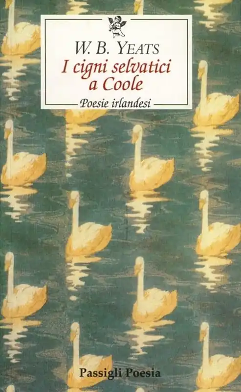 I cigni selvatici di Coole Solo Oggi