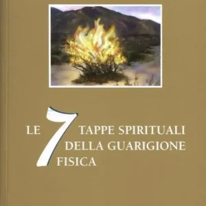 Le 7 tappe spirituali della guarigione fisica Prezzo Conveniente