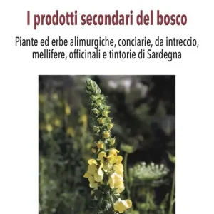 I prodotti secondari del bosco. Piante ed erbe alimurgiche, conciarie, da intreccio, mellifere, officinali e tintorie di Sardegna Non Perdere