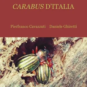 Popolare Carabus d‘Italia