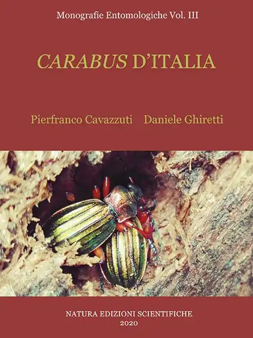 Popolare Carabus d‘Italia