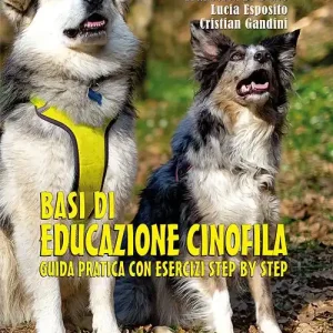 Basi di educazione cinofila. Guida pratica con esercizi step by step. Ediz. illustrata Solo Oggi