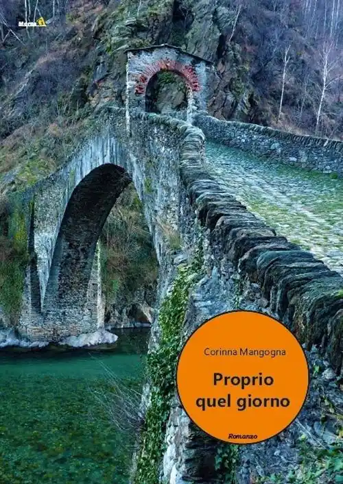Proprio quel giorno Professionale