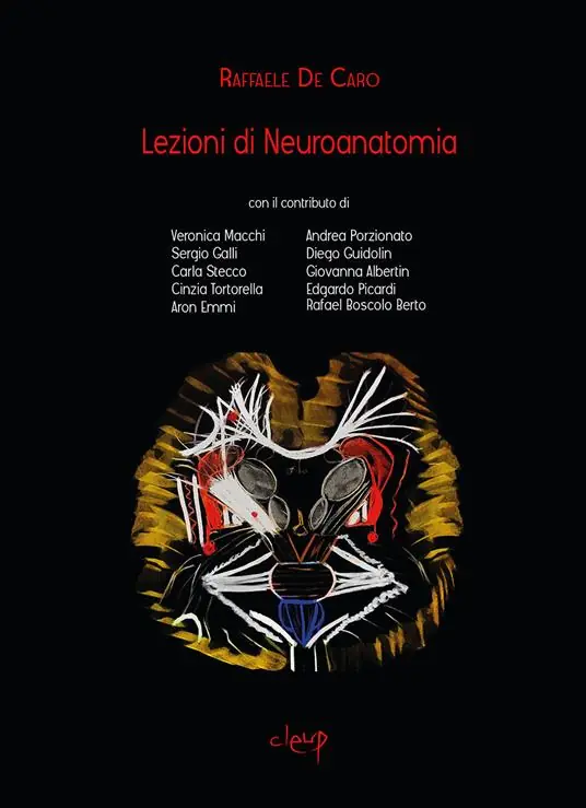 Prezzo Ridotto Lezioni di neuroanatomia
