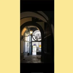 Novità ‘O miedeco d‘e pazze
