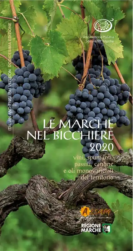 Prezzo Conveniente Le Marche nel bicchiere 2020. Vini, spumanti, passiti, cantine e oli monovarietali del territorio. Ediz. italiana e inglese