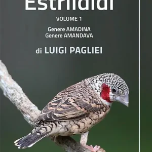 Nuova Collezione Estrildidi. Ediz. illustrata. Vol. 1 Genere amadina, genere amandava