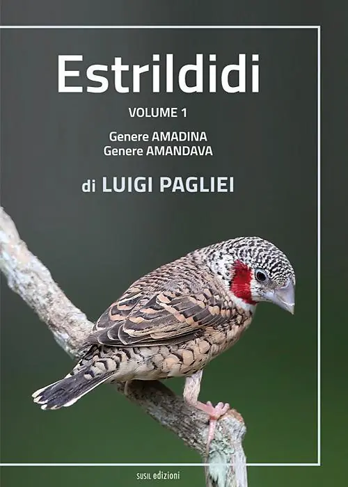 Nuova Collezione Estrildidi. Ediz. illustrata. Vol. 1 Genere amadina, genere amandava