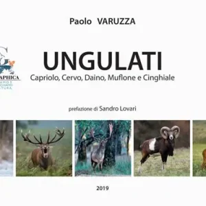 Ungulati. Capriolo, cervo, daino, muflone e cinghiale Nuovo Arrivo