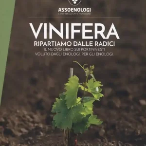 Reso Gratuito Vinifera. Ripartiamo dalle radici. Il nuovo libro sui portinnesti voluto dagli enologi, per gli enologi. Dalle origini del genere vitis alla ricostruzione post fillosserica fino ai nuovi portinnesti ed allo sviluppo di nuove tecniche di propagazione