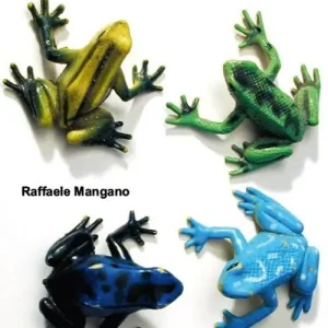 Tutto fa brodo Novità