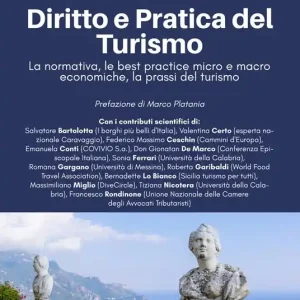 Diritto e pratica del turismo. La normativa, le best practice micro e macro economiche, la prassi del turismo Compra Adesso