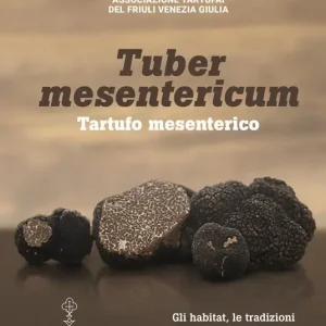 Miglior Prezzo Tuber mesentericum - Tartufo mesenterico. Gli habitat, le tradizioni e l‘importanza del tartufo in Friuli Venezia Giulia