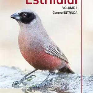 Novità Estrildidi. Ediz. illustrata. Vol. 3 Genere Estrilda