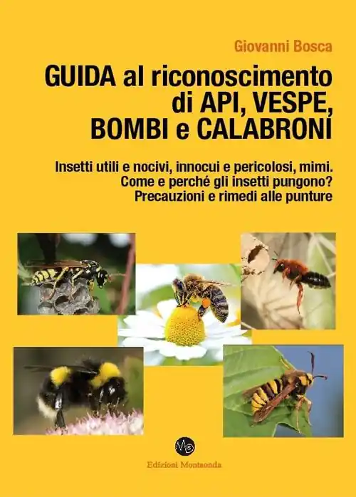 Consegna Rapida Guida al riconoscimento di api, vespe, bombi e calabroni